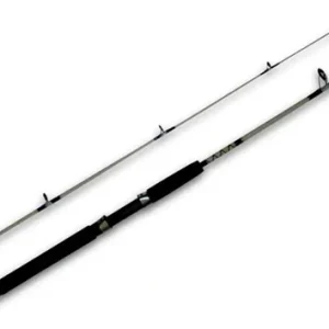 D_NQ_NP_900800-MLU74877371584_032024-O